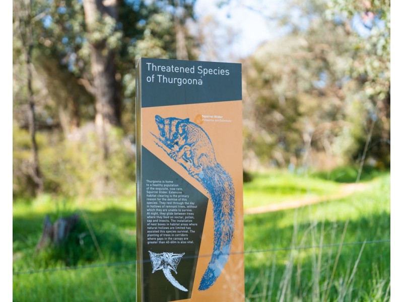 27 Oriole St, Thurgoona NSW 2640