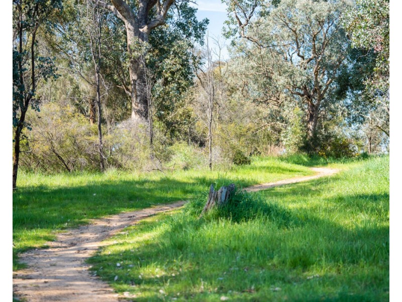 27 Oriole St, Thurgoona NSW 2640