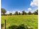 2311 Henty-Pleasant Hills Rd, Henty NSW 2658