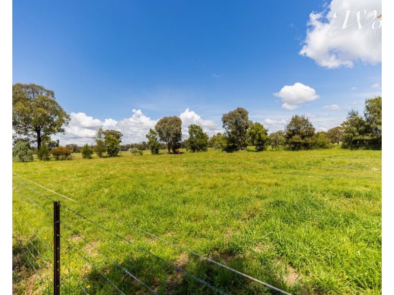 2311 Henty-Pleasant Hills Rd, Henty NSW 2658