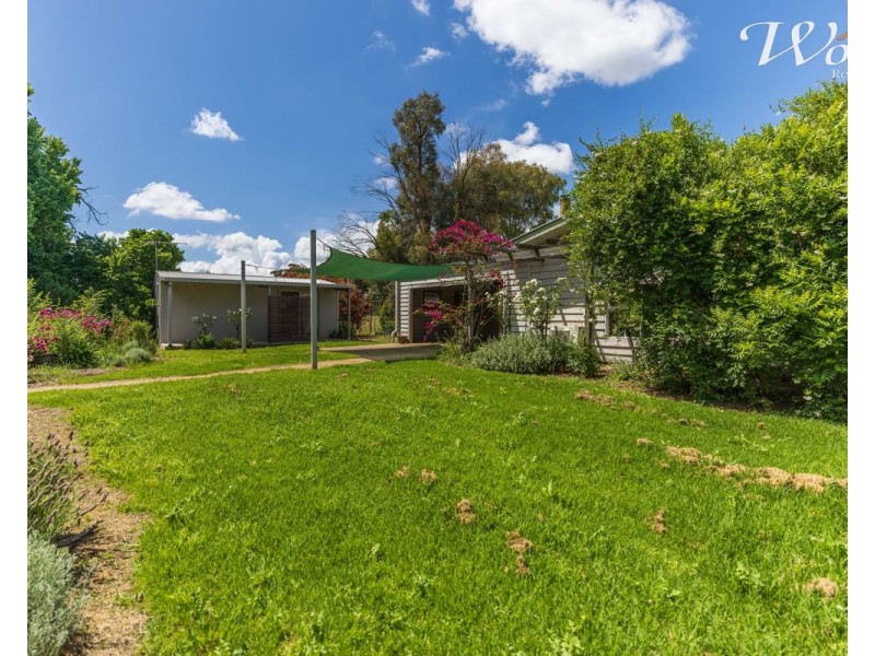 2311 Henty-Pleasant Hills Rd, Henty NSW 2658