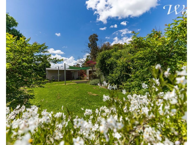 2311 Henty-Pleasant Hills Rd, Henty NSW 2658