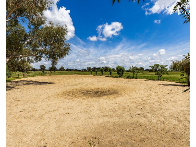 2311 Henty-Pleasant Hills Rd, Henty NSW 2658