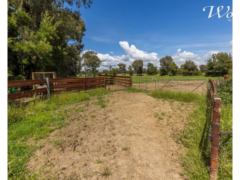 2311 Henty-Pleasant Hills Rd, Henty NSW 2658