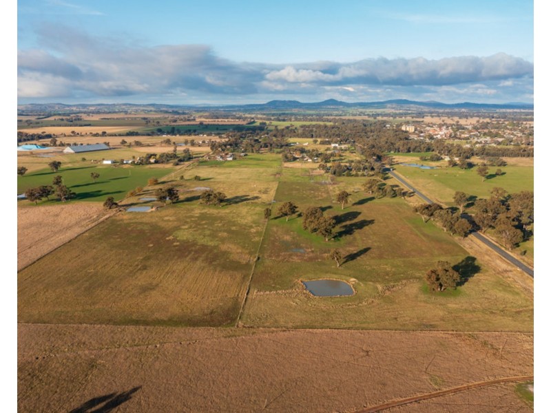 Lots 213 – 215 Henty-Plesant Hills Rd, Henty NSW 2658