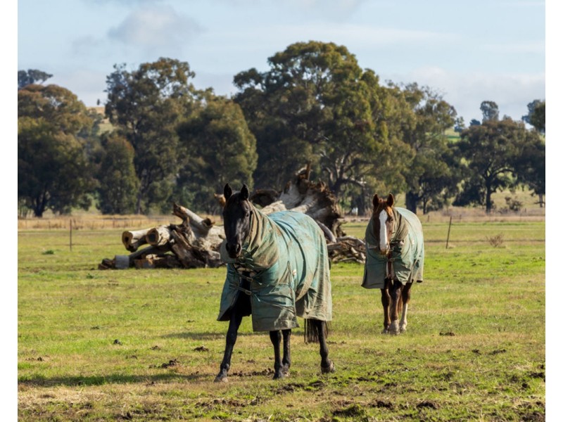 Lots 213 – 215 Henty-Plesant Hills Rd, Henty NSW 2658