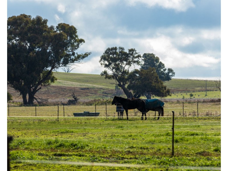 Lots 213 – 215 Henty-Plesant Hills Rd, Henty NSW 2658