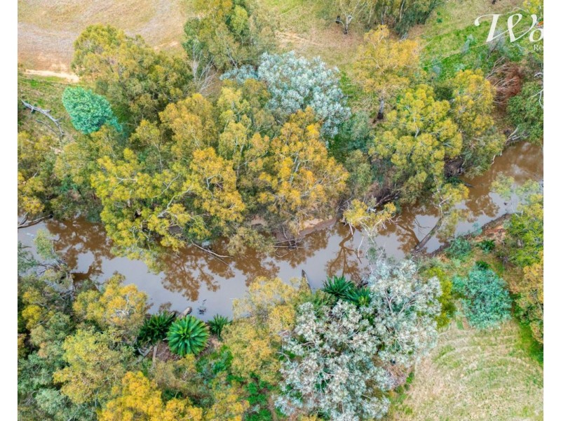 8-10 Kooba St,, Rand NSW 2642