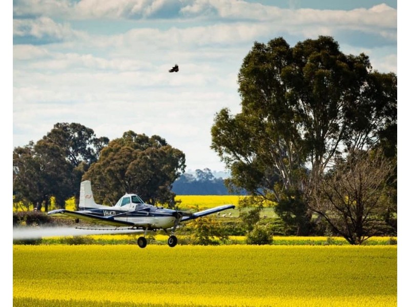 8-10 Kooba St,, Rand NSW 2642