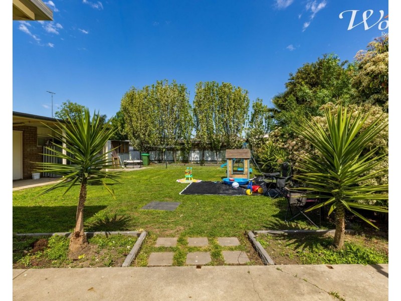 359 Douglas rd, Lavington NSW 2641