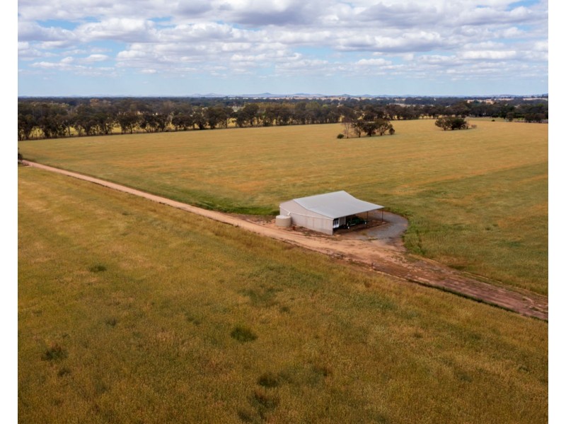 99 Walla Cemetery Lane, Walla Walla NSW 2659