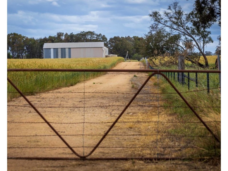 99 Walla Cemetery Lane, Walla Walla NSW 2659