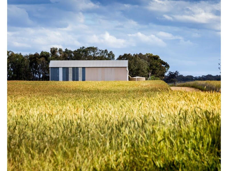 99 Walla Cemetery Lane, Walla Walla NSW 2659