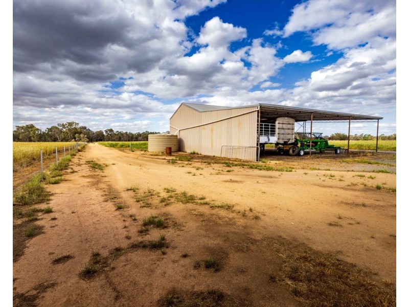 99 Walla Cemetery Lane, Walla Walla NSW 2659