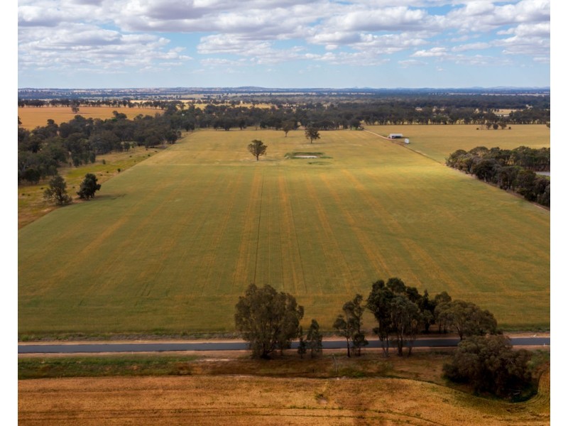 99 Walla Cemetery Lane, Walla Walla NSW 2659