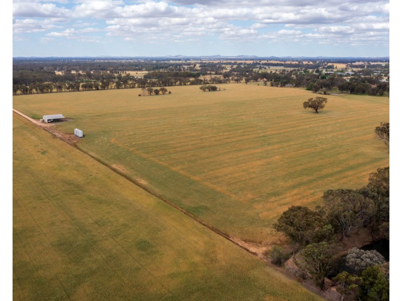 99 Walla Cemetery Lane, Walla Walla NSW 2659