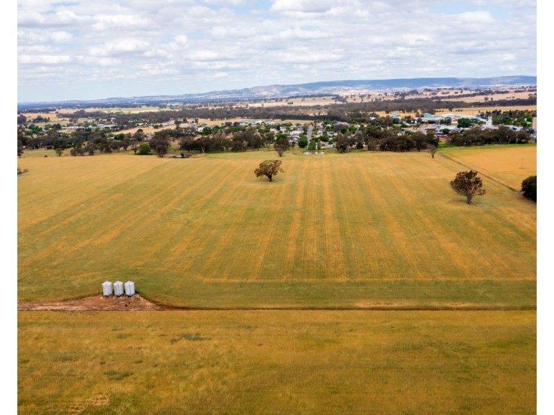 99 Walla Cemetery Lane, Walla Walla NSW 2659