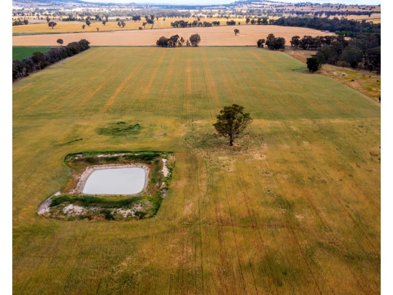 99 Walla Cemetery Lane, Walla Walla NSW 2659