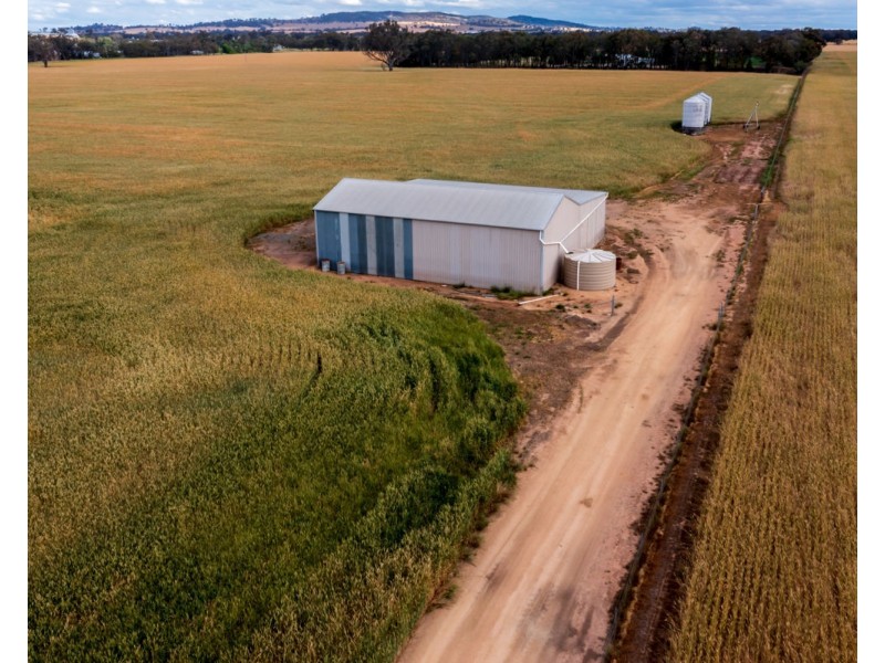 99 Walla Cemetery Lane, Walla Walla NSW 2659