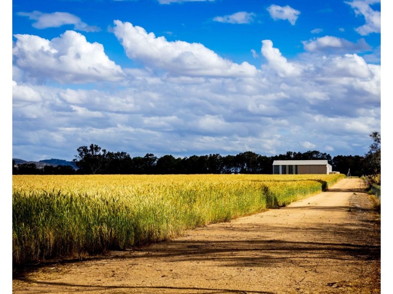 99 Walla Cemetery Lane, Walla Walla NSW 2659