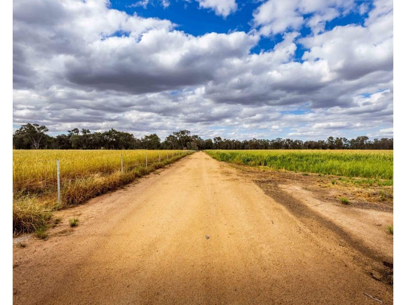 99 Walla Cemetery Lane, Walla Walla NSW 2659