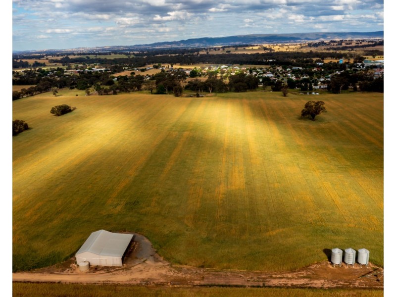 99 Walla Cemetery Lane, Walla Walla NSW 2659