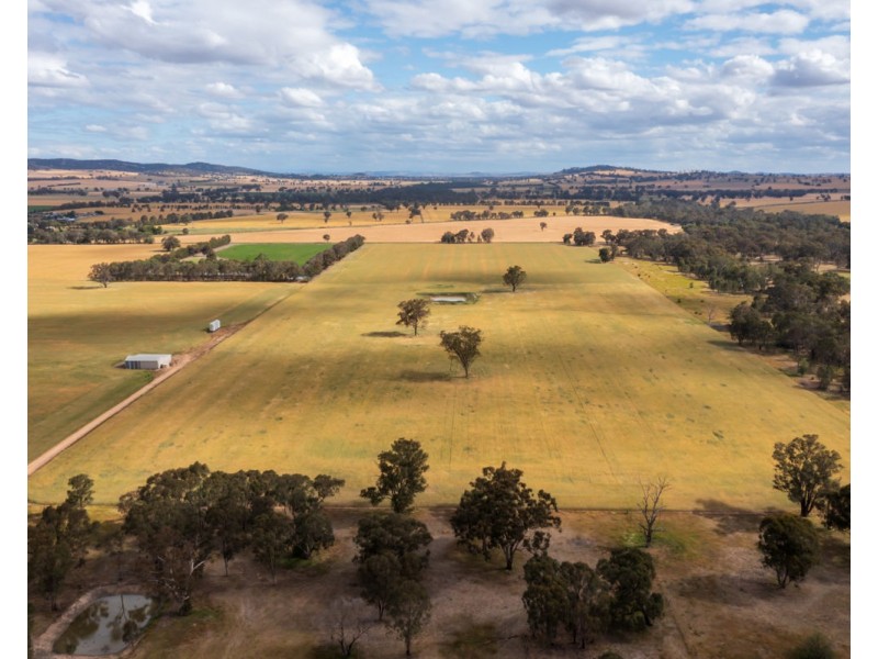 99 Walla Cemetery Lane, Walla Walla NSW 2659