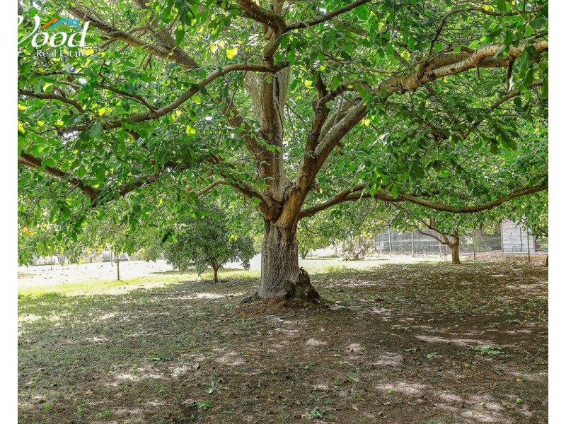 670 Prune Street, Springdale Heights NSW 2641