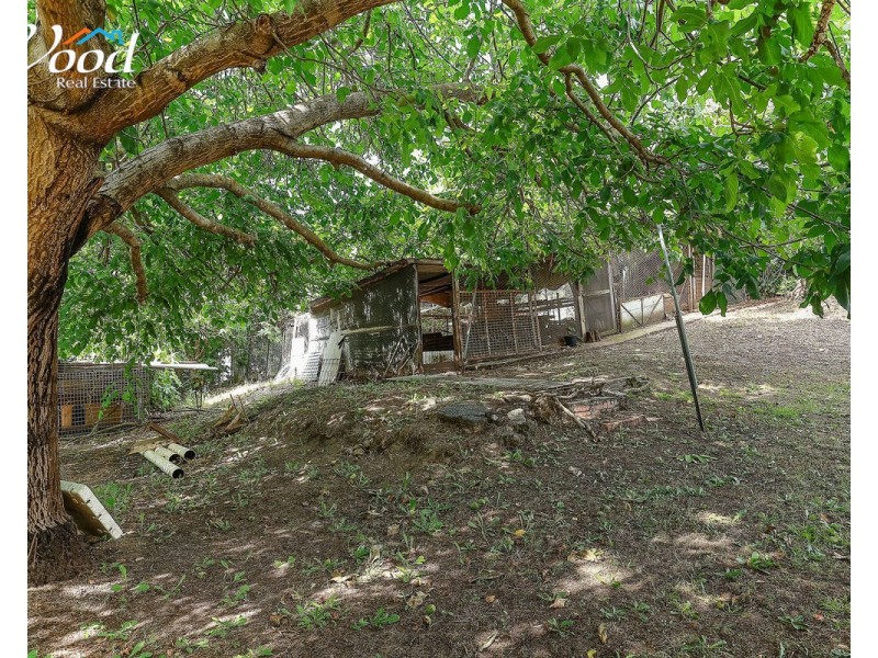 670 Prune Street, Springdale Heights NSW 2641