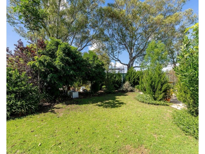 317 Fallon St, North Albury NSW 2640