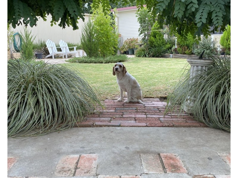 317 Fallon St, North Albury NSW 2640