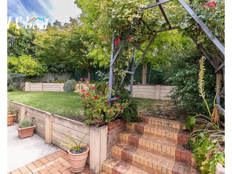 53 Michelle Ave, Lavington NSW 2641