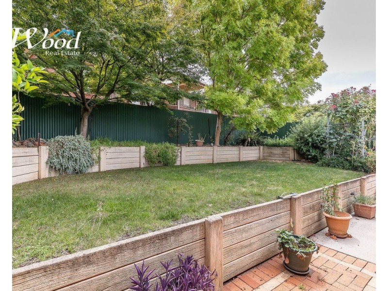 53 Michelle Ave, Lavington NSW 2641