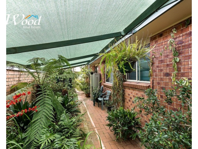 53 Michelle Ave, Lavington NSW 2641