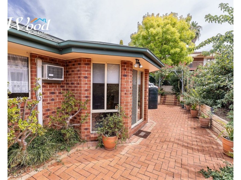 53 Michelle Ave, Lavington NSW 2641