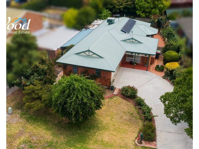 53 Michelle Ave, Lavington NSW 2641