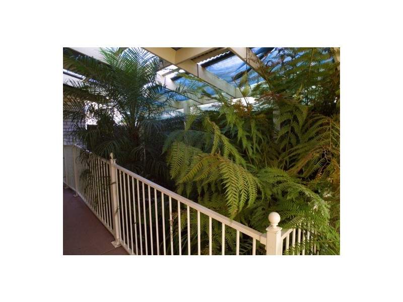 535 Williams St, Lavington NSW 2641
