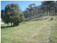 72  Bartholomew St, Lavington NSW 2641