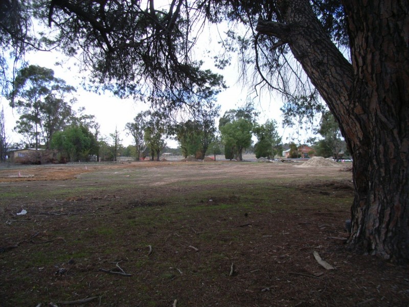 1 Pioneer Dr, Jindera NSW 2642