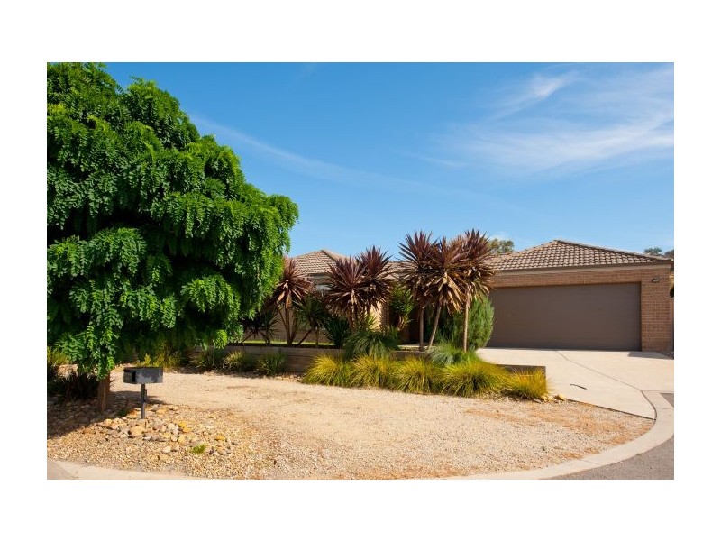 20 Darga Pl, Lavington NSW 2641