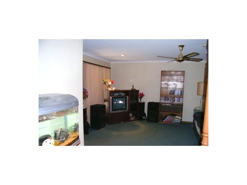 39 Jackling Dr, Lavington NSW 2641