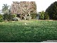 Lavington NSW 2641
