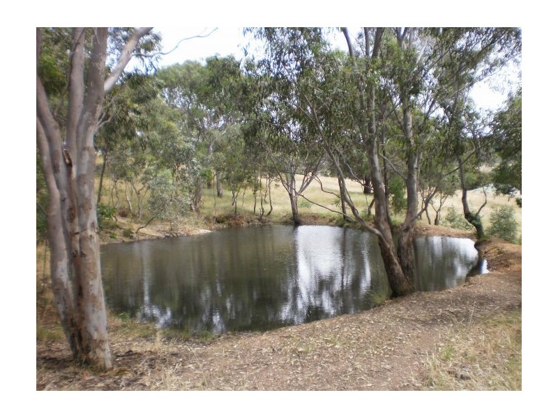 Lot 61 Pannach Lane, Lavington NSW 2641