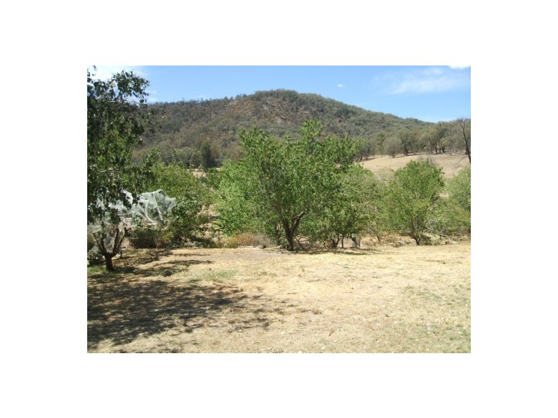 Lot  531 Tunnel Road, Woomargama NSW 2644