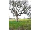 Lot 1 Thomas St, Gerogery NSW 2642