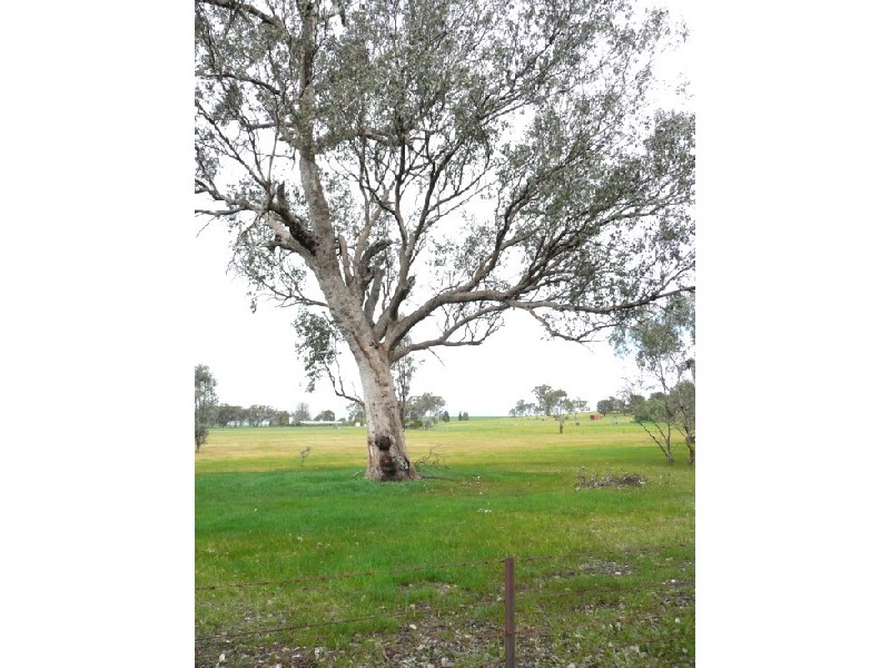 Lot 1 Thomas St, Gerogery NSW 2642