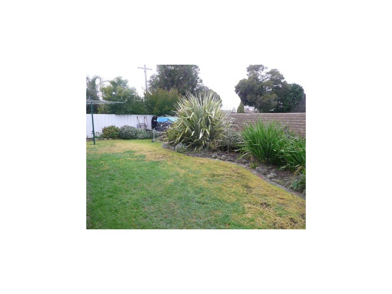 1/484 Douglas Road, Lavington NSW 2641