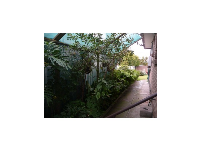 1/484 Douglas Road, Lavington NSW 2641