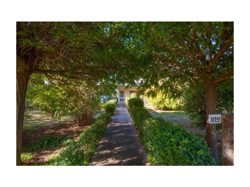 109 Mitchell Street, Jindera NSW 2642