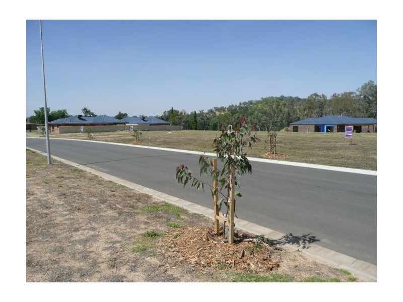 Carstens Street, Lavington NSW 2641